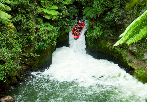 Working Holiday in New Zealand