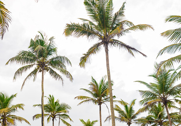 Tour in Sri Lanka