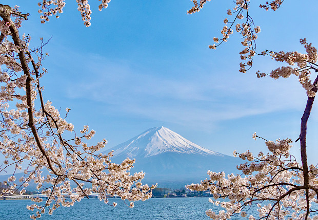 Tour in Japan