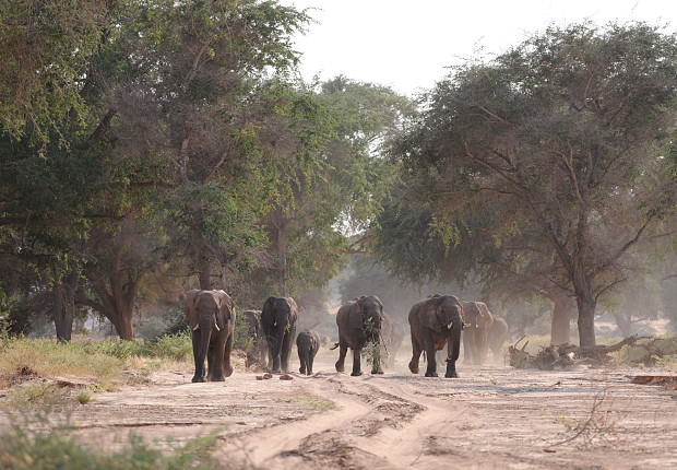 Volunteer in Namibia