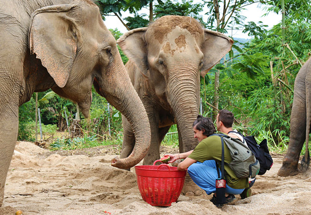 Volunteer in Thailand