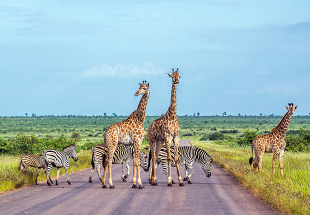 Tour in South Africa