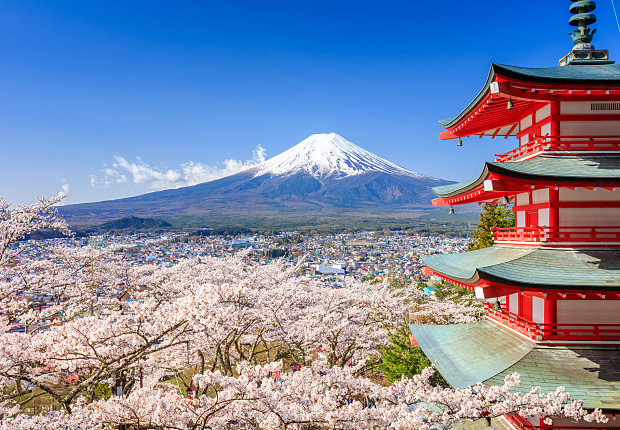 Working Holiday in Japan