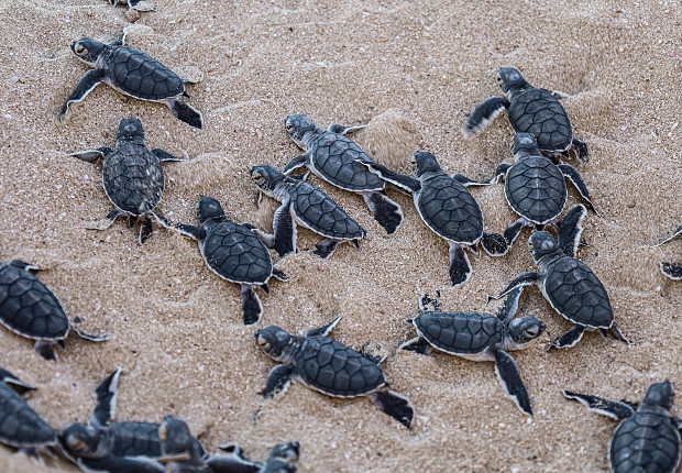 Volunteer in Nicaragua