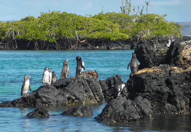 Volunteer in Ecuador