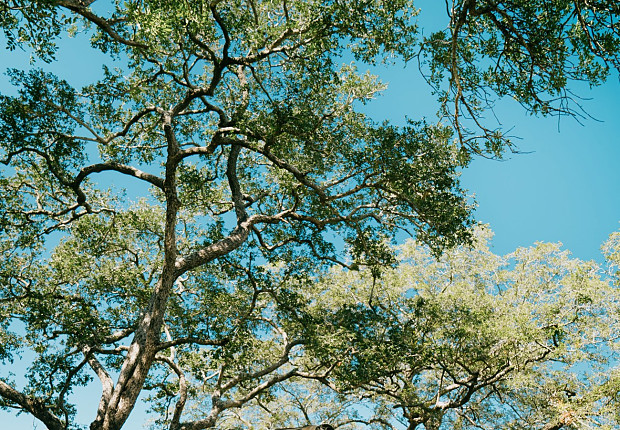 Tour in South Africa