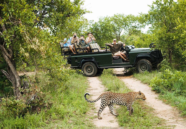 Tour in South Africa