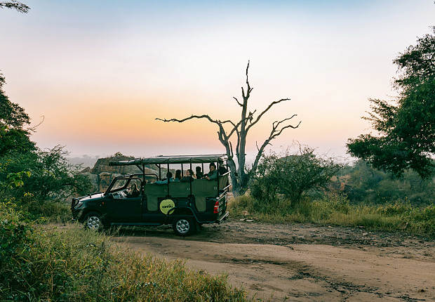 Tour in South Africa