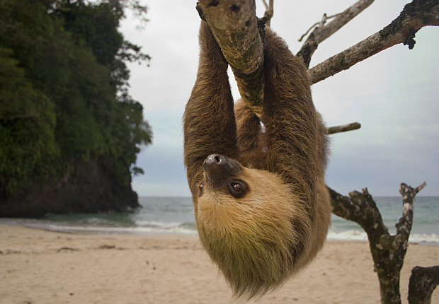 Volunteer in Costa Rica