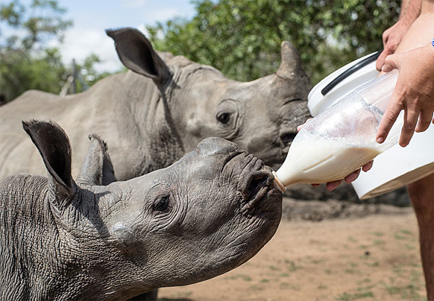 Volunteer in South Africa