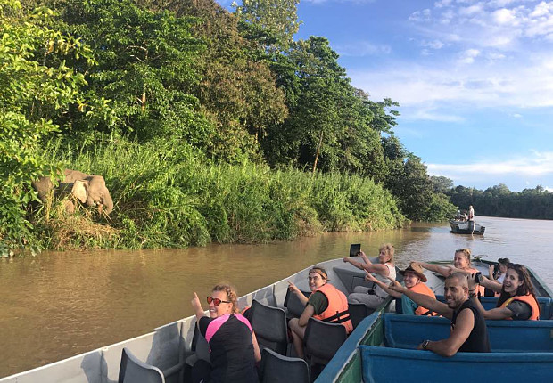 Volunteer in Borneo