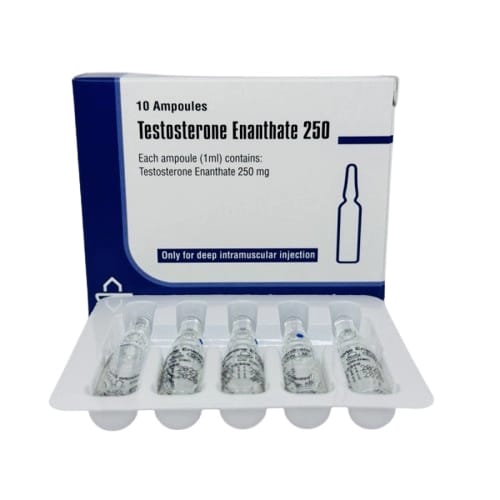 Testo E 250 mg — Injectables