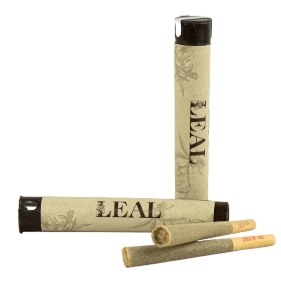 Old Pal Sativa 14pk