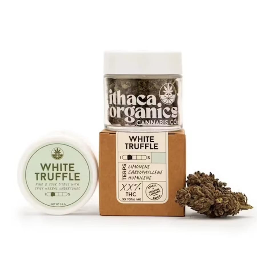In House Genetics Mixed Pack