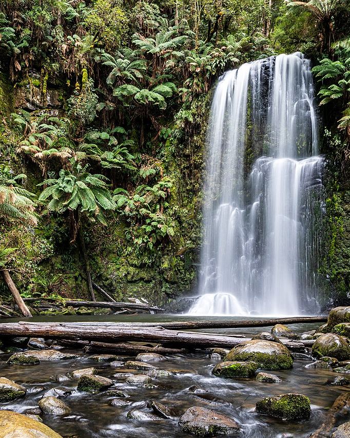 Nature I