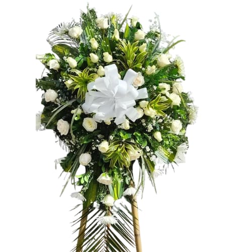 Funeraria Los Olivos Murillo con la 8 Barranquilla