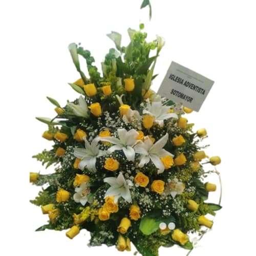 Rosas para funerarias en Barranquilla