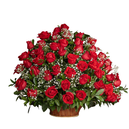 Ramo B103