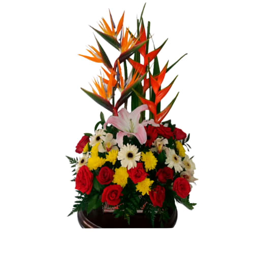 Floristería Special Flower Barranquilla