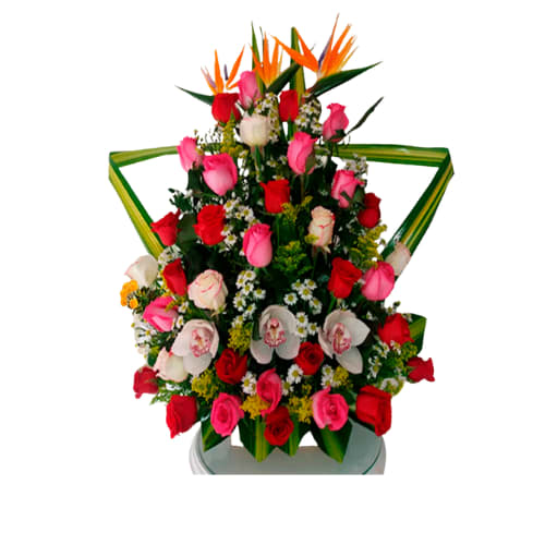 Floristería La Orquídea Barranquilla