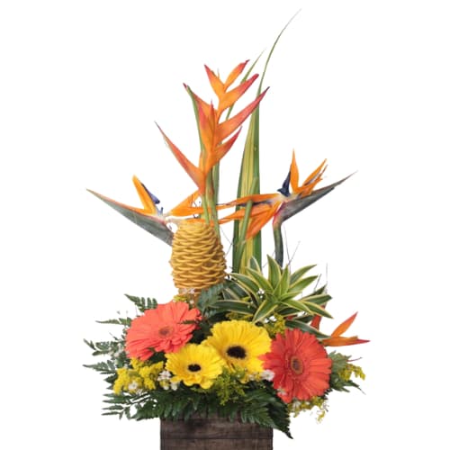 Comprar flores en Barranquilla