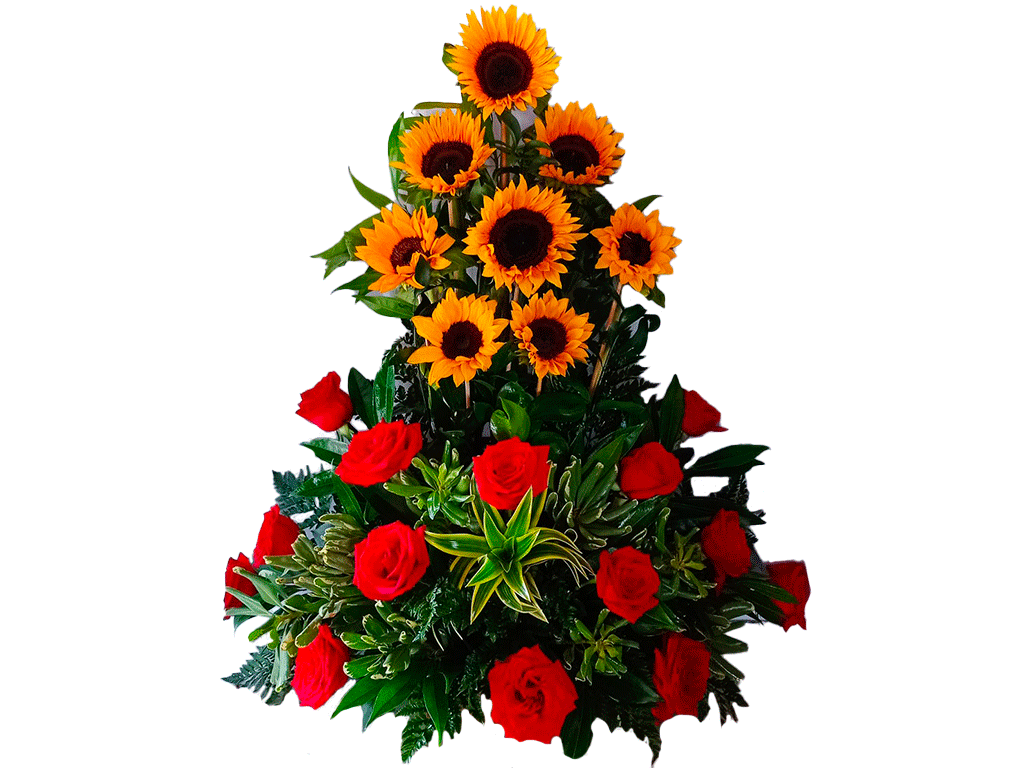 Rosas para mama