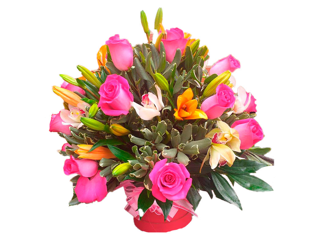 flores para cumpleaños Barranquilla