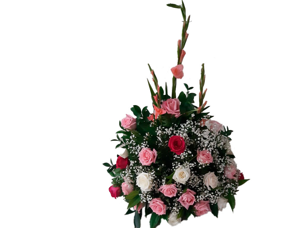 Ramo B023
