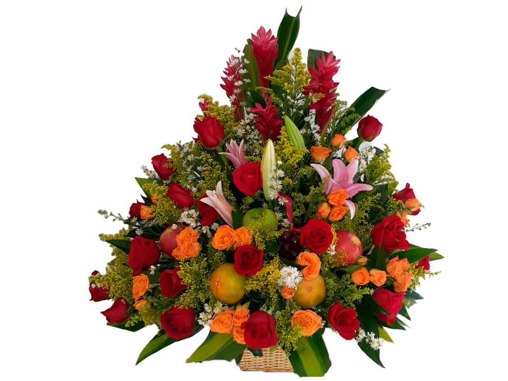 Ramo B025