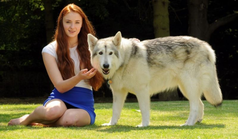 Game of Thrones facts about Sophie turner and Zunni