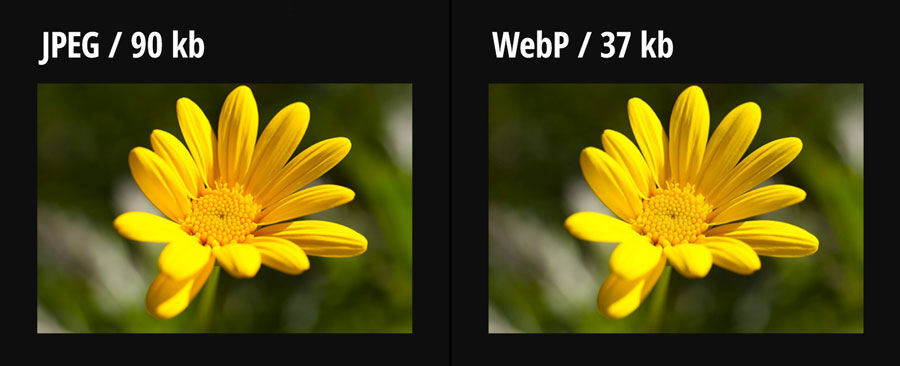 jpg_vs_WebP