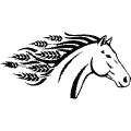 Indicative logo of Daysland Gymkhana Club