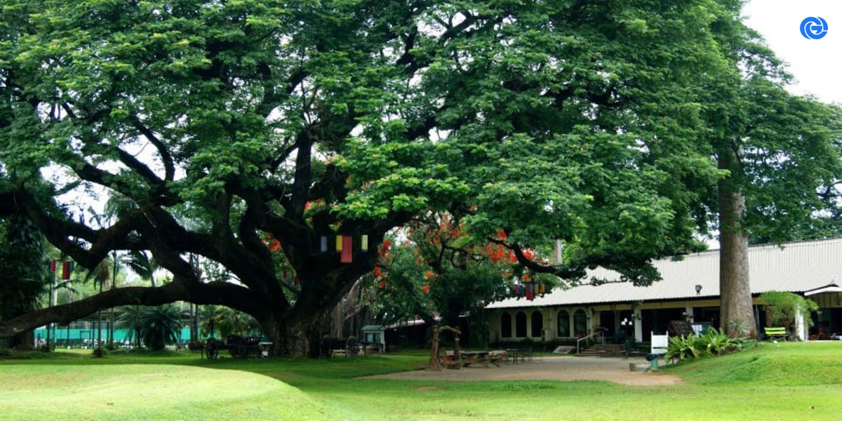 Picture of Chiengmai Gymkhana Club by Chiengmai Gymkhana Club