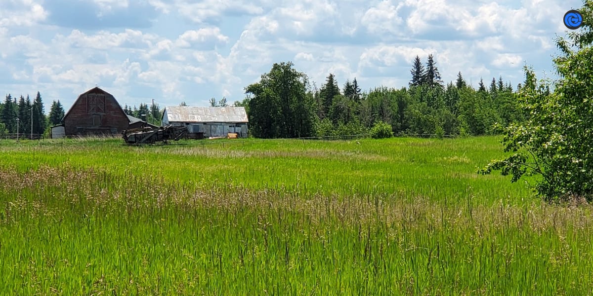 Picture of Edmonton Gymkhana Association by David Hryciuk