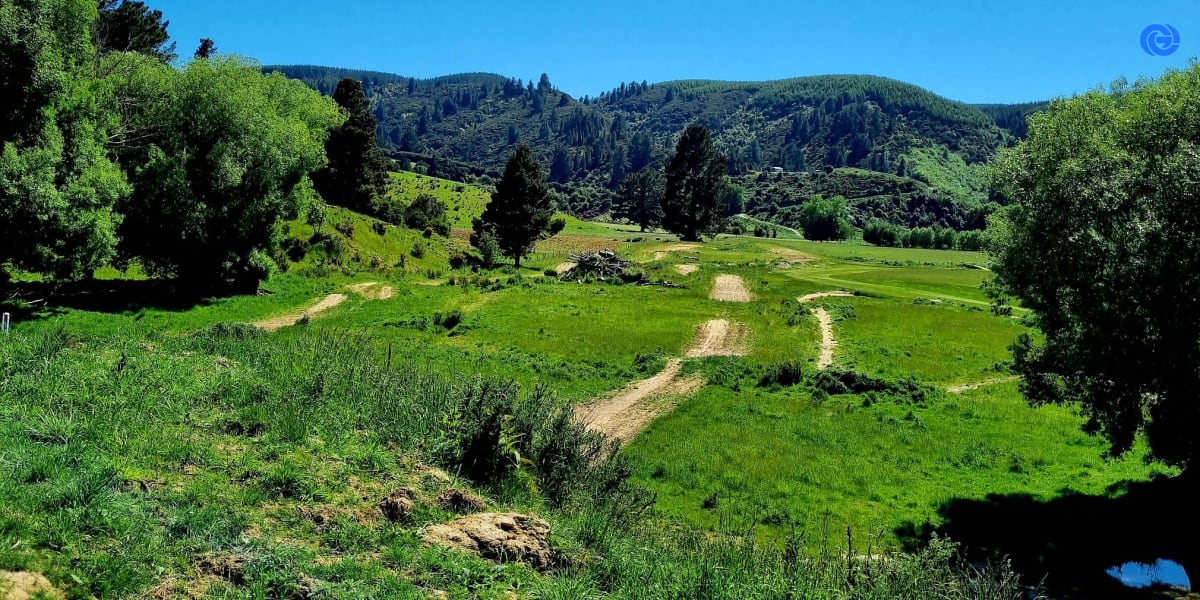 Picture of Lawrence Gymkhana Club by Grace Curwood