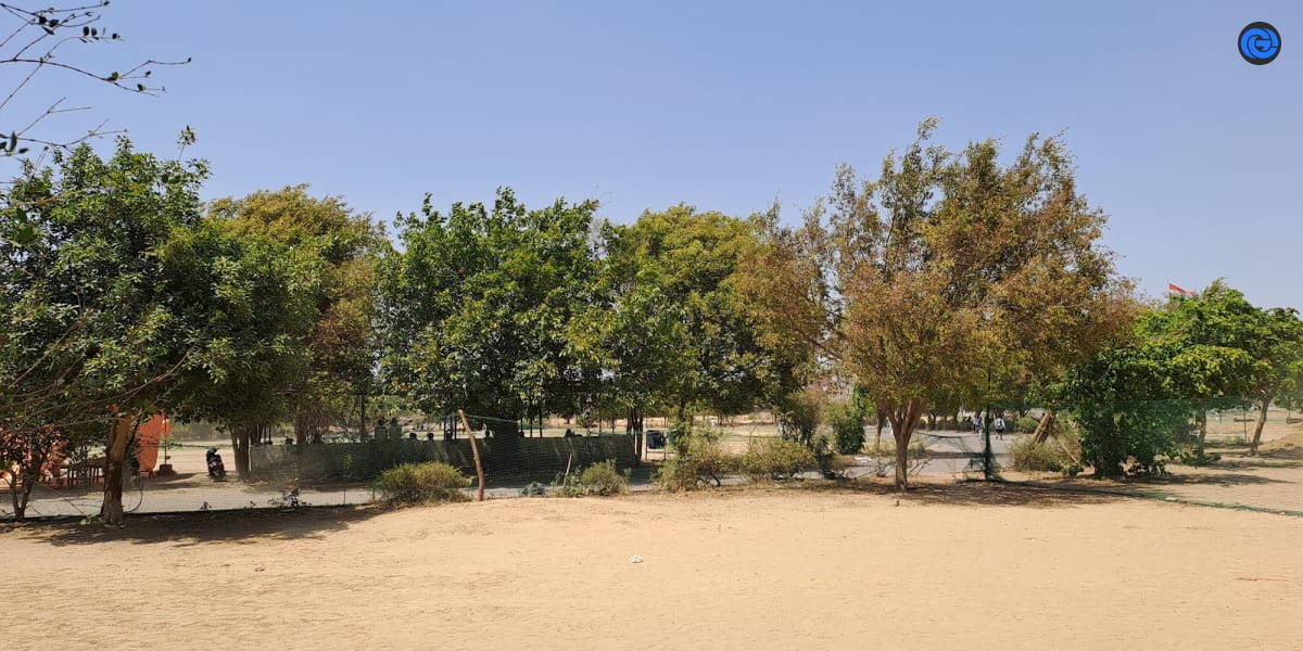 Picture of Rohtak Road Gymkhana Cricket Club by Sharanjiv Kumar