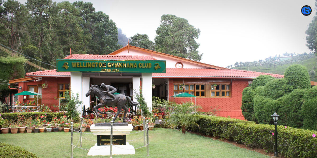 Picture of Wellington Gymkhana Club by Wellington Gymkhana Club