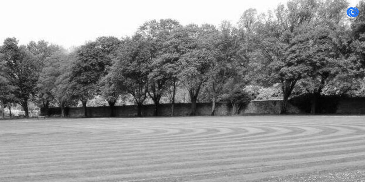 Picture of Cardiff Gymkhana Cricket Club by Cardiff Gymkhana