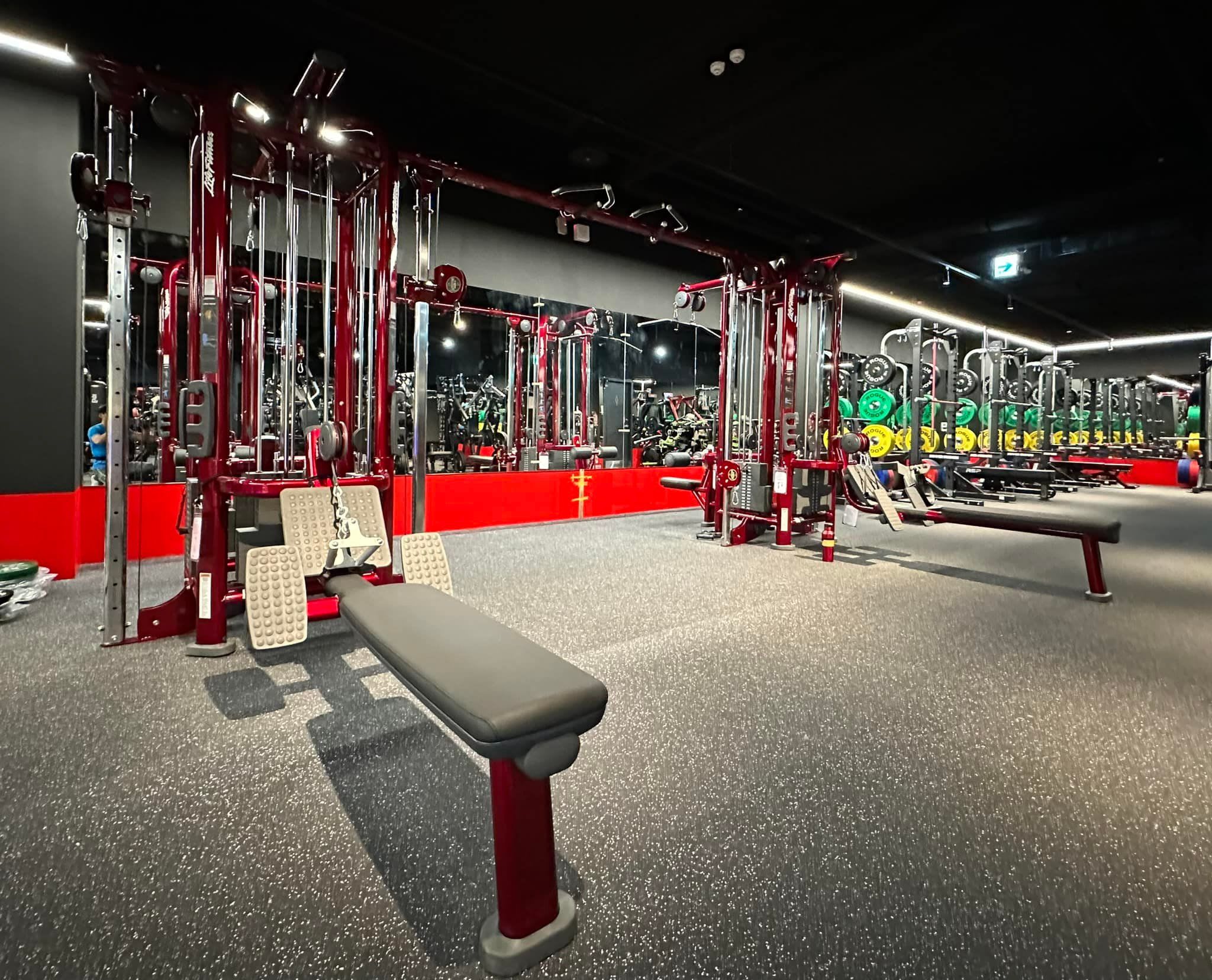 IronFit