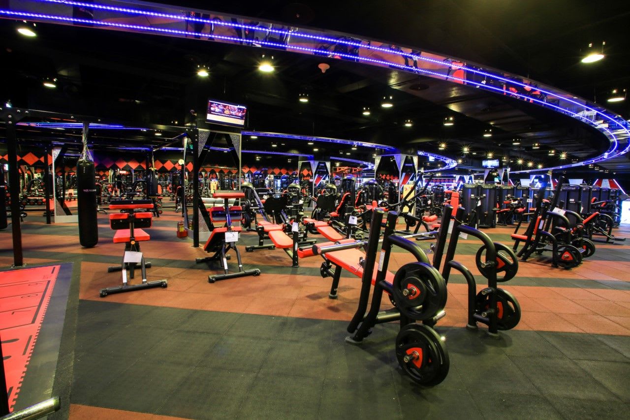 World Gym 新北北新莊店Sport