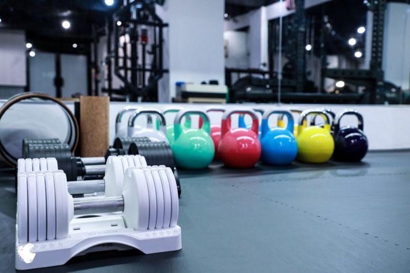 胖恐龍Sports 運動選品舖