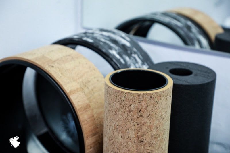 胖恐龍Sports 運動選品舖