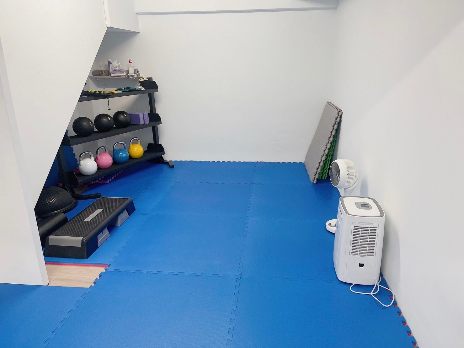 巷心力療育系健身房