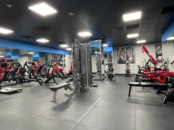 亞樂健身 Alive Gym