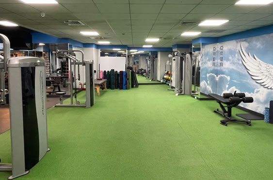 亞樂健身 Alive Gym