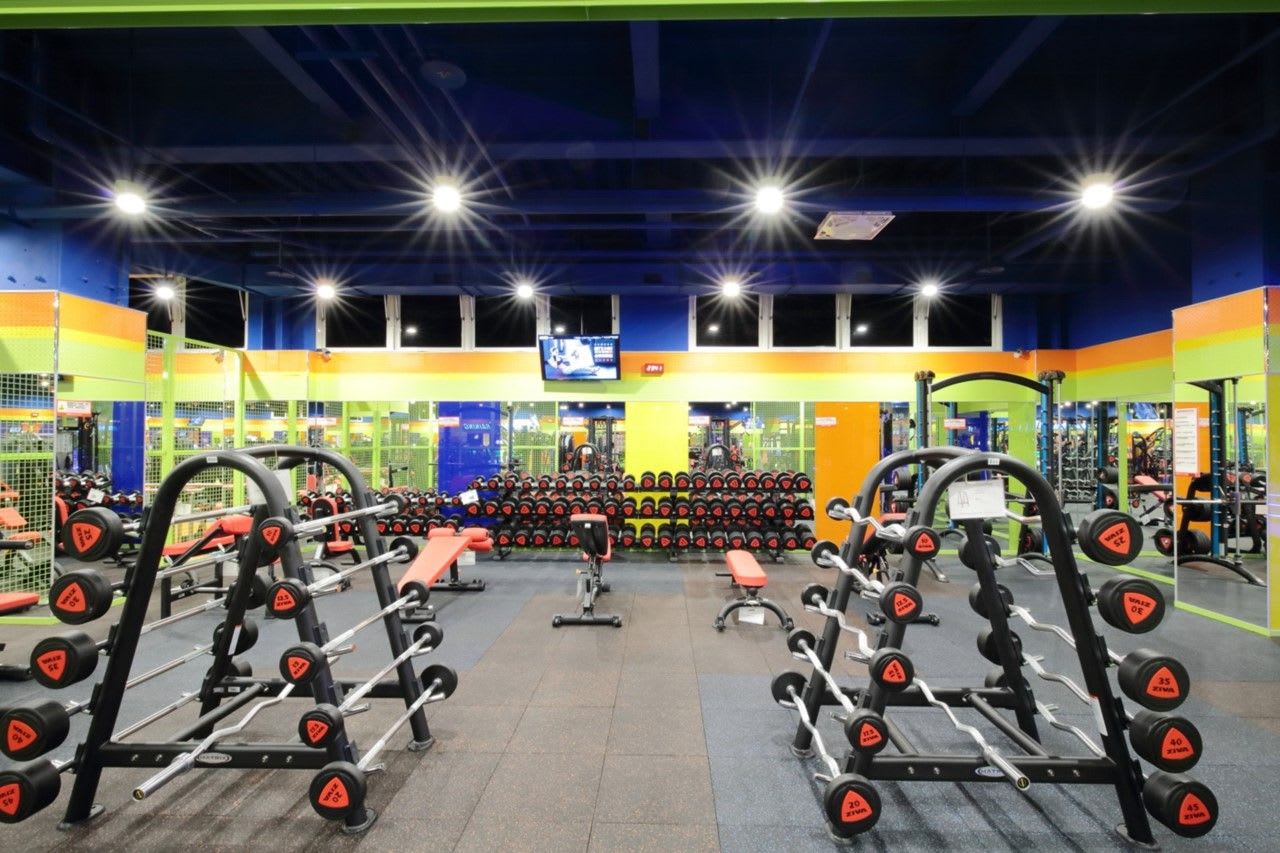 World Gym 苗栗苑裡店