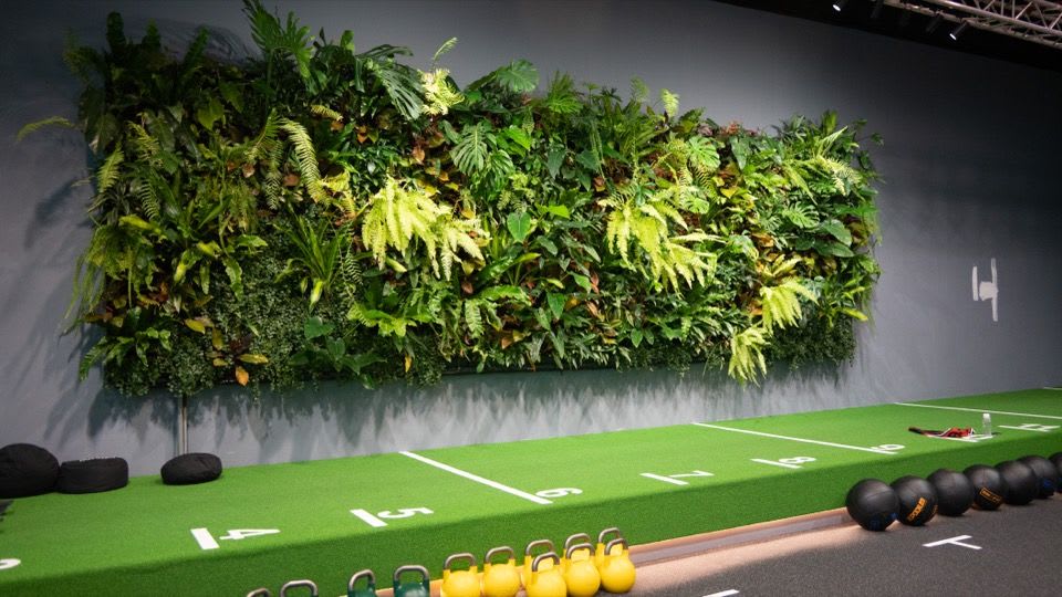 四季健身 新店館｜自主訓練、CrossFit、團體課、教練場租