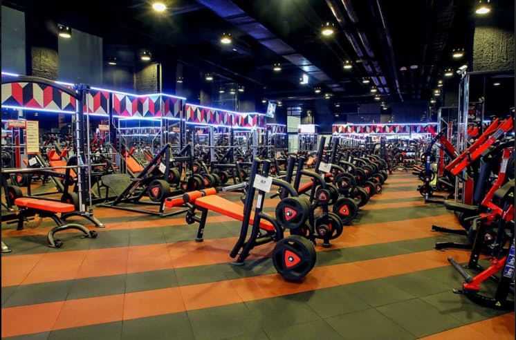 World Gym 台北大直Sport