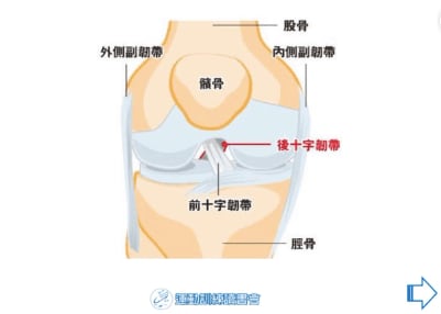 圖片來源：運動訓練讀書會