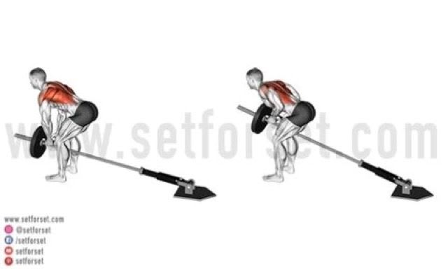 圖片來源：set for set｜https://www.setforset.com